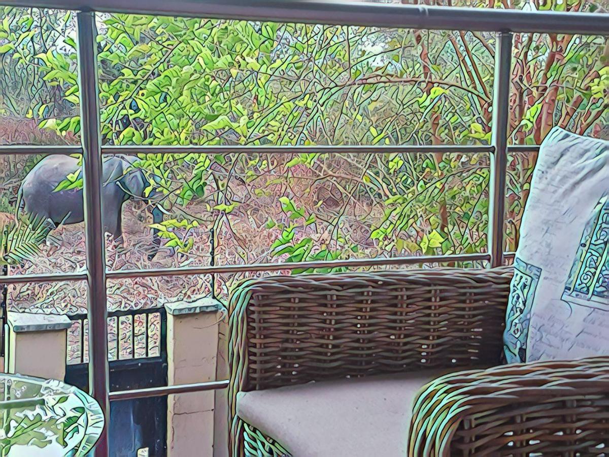 The Residence Villa Chobe 卡萨内 外观 照片